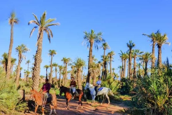 Horse riding Palmeraie