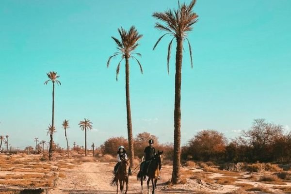 Horse riding Palmeraie