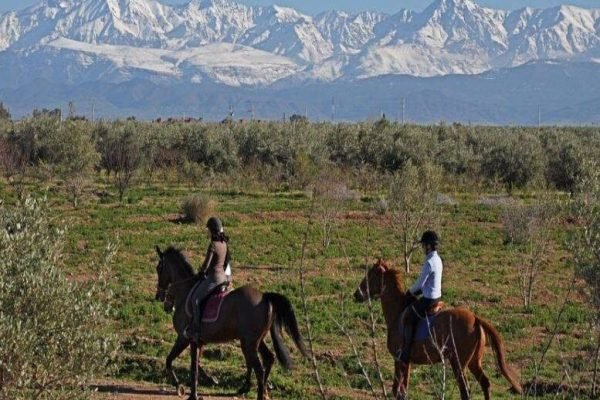 Horse riding Palmeraie