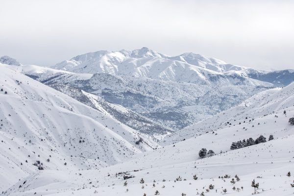 winter landscape with snowy mountains and trees